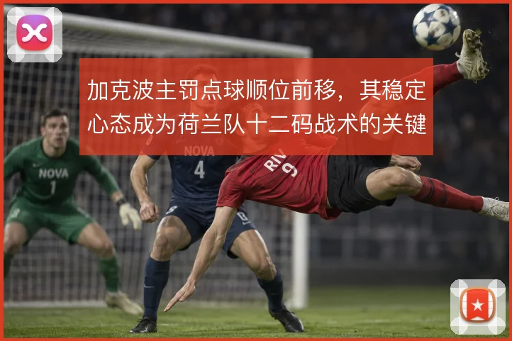 加克波主罚点球顺位前移，其稳定心态成为荷兰队十二码战术的关键一环