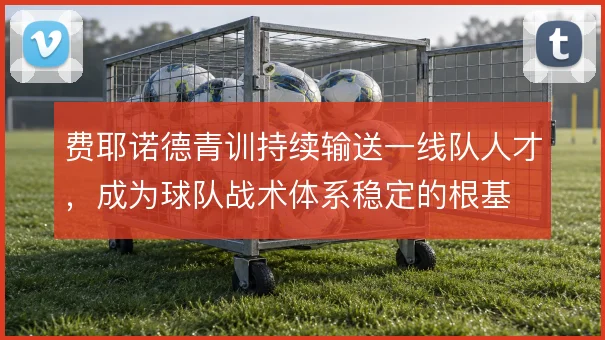 费耶诺德青训持续输送一线队人才,成为球队战术体系稳定的根基