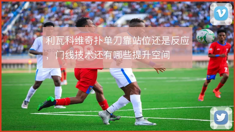 利瓦科维奇扑单刀靠站位还是反应,门线技术还有哪些提升空间