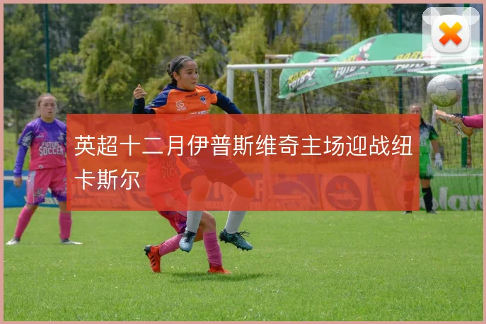 英超十二月伊普斯维奇主场迎战纽卡斯尔